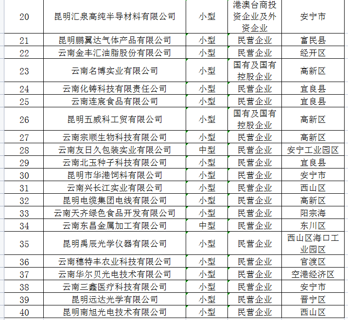 2022市級(jí)中小企業(yè)培育提升專項(xiàng)名單(圖2)