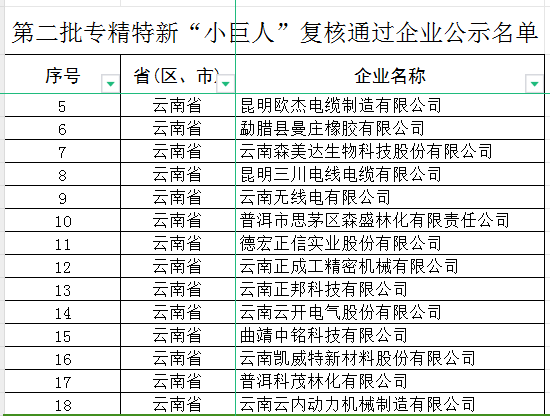 云南省第五批專(zhuān)精特新“小巨人”企業(yè)和第二批專(zhuān)精特新“小巨人”復(fù)核通過(guò)企業(yè)(圖2)