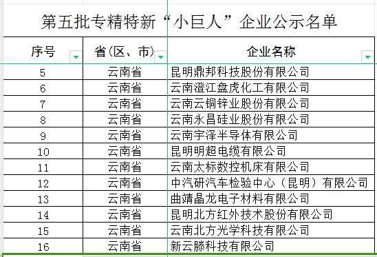 云南省第五批專(zhuān)精特新“小巨人”企業(yè)和第二批專(zhuān)精特新“小巨人”復(fù)核通過(guò)企業(yè)(圖1)