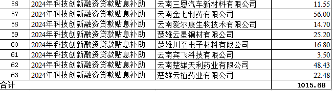 2024年度科技金融結合專項擬支持項目(圖3)